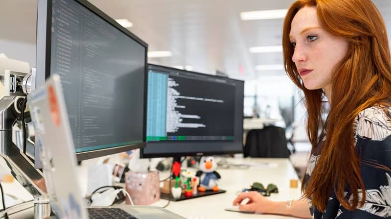 Desarrollador de software