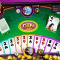 Gin Rummy Plus