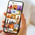 Mensajes de Instagram